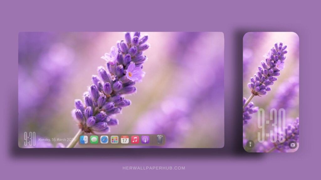 Lavender Aesthetic Wallpaper 